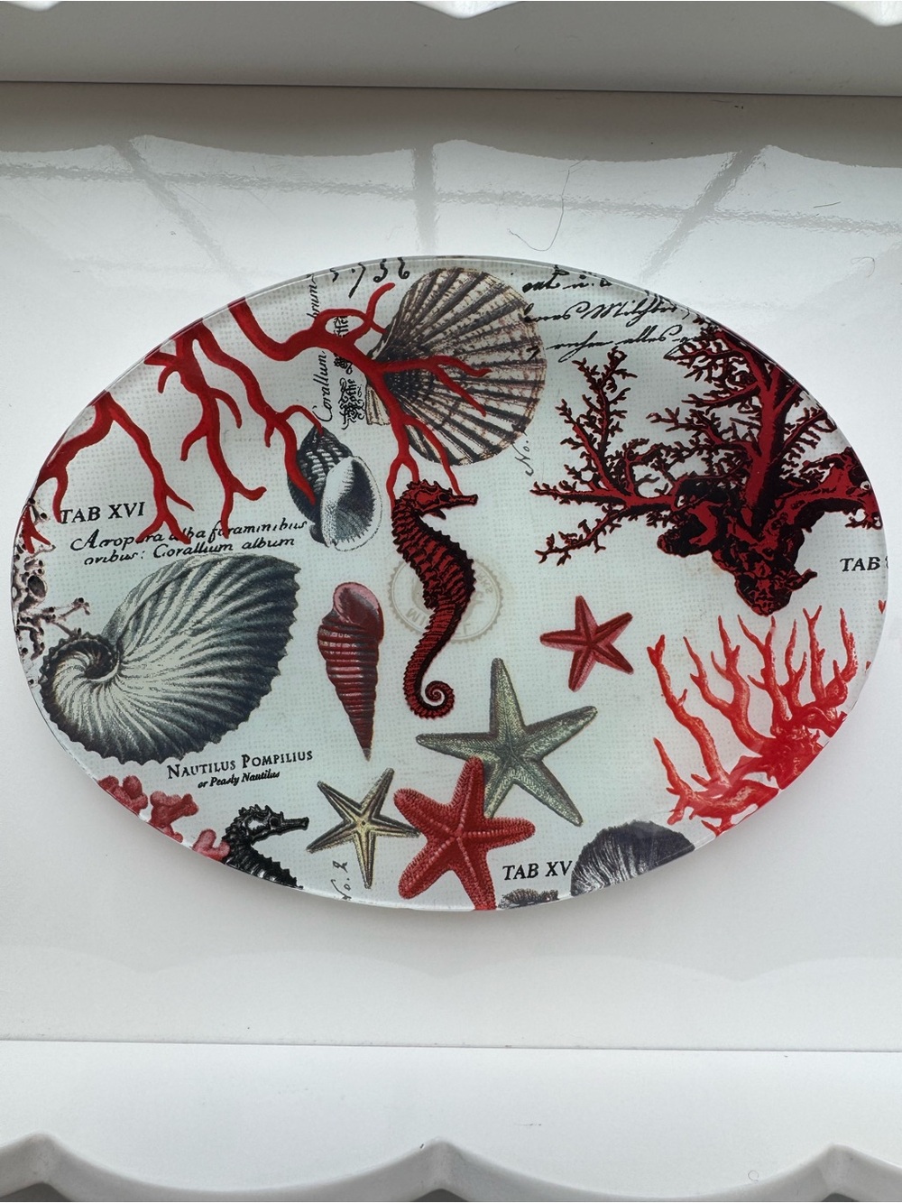 Michel Design Works Ocean Decoupage Glass Trinket Dish Sea Life Nautilus